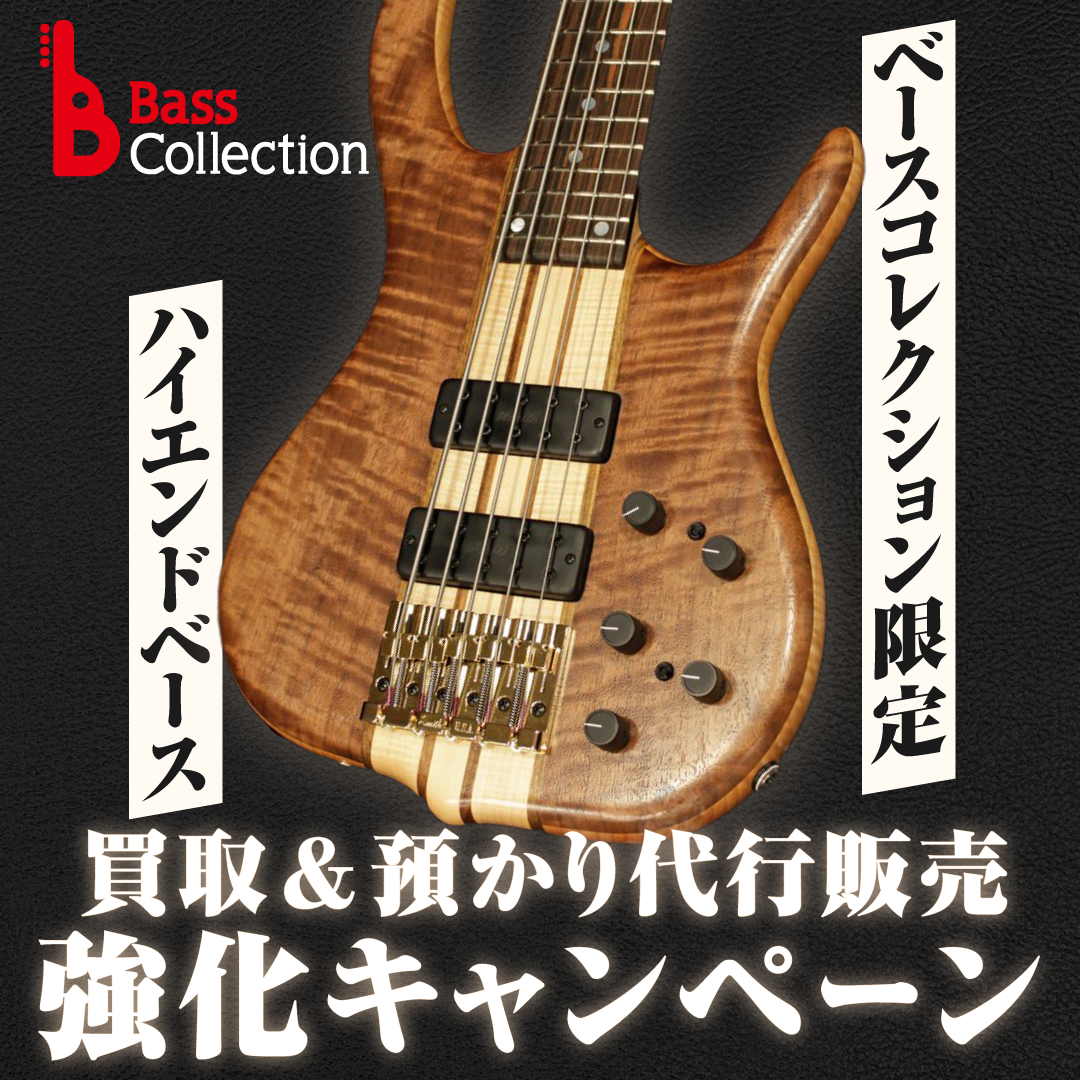 ベースコレクション限定!ハイエンドベース買取 & 預かり代行販売 強化キャンペーン